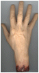 [Object - Severed Right Hand Replica]